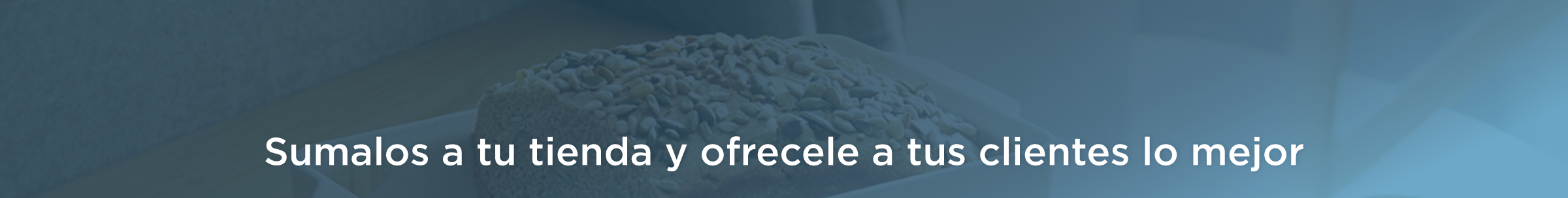 Banner mayorista superior